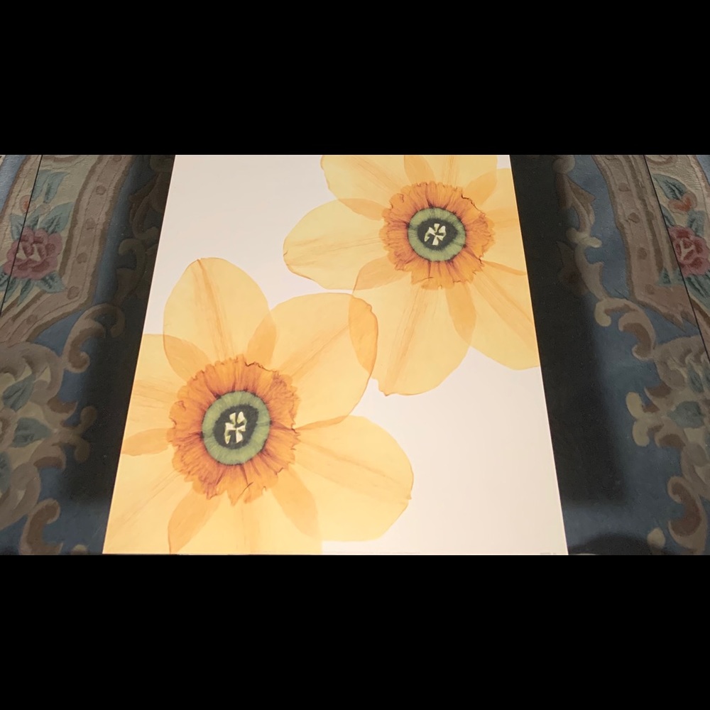 2 Flower Art Prints Delicate I & II By Val Andre
